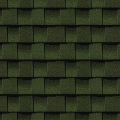 Evergreen swatch